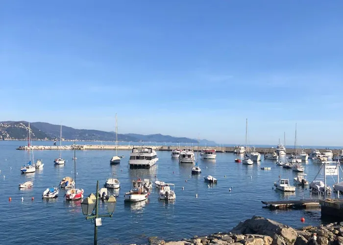 Appartamento In Rapallo