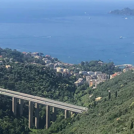 In Апартаменты *